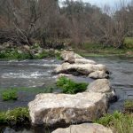 *815KB maart 2011 rivier met stapstenen marianne 089